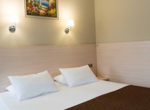 №6 Делюкс  ДАБЛ/ТВИН в отеле Лермонтов Номер №6 Делюкс  ДАБЛ/ТВИН